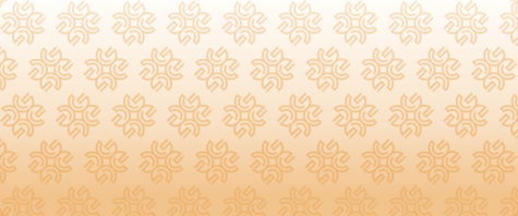 Pattern gradient for transitions of the Les Vins Lionel Gasser website