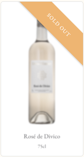 Visual of the Les Vins Lionel Gasser website